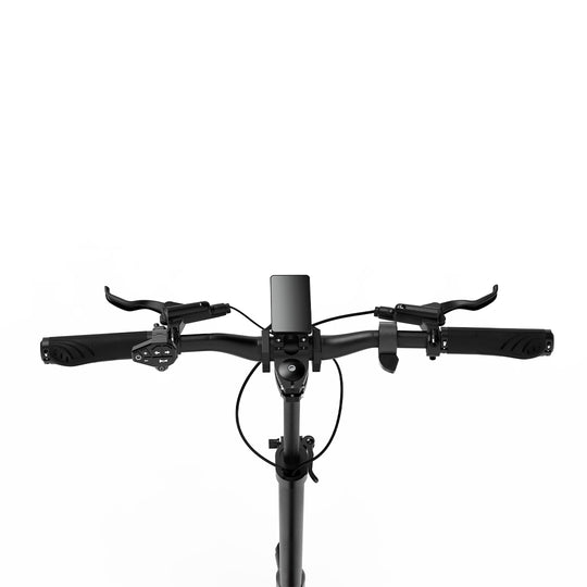 JOYOR S5-Z 10" City Commuter Elektroroller 600W Motor 48V 13Ah Batterie